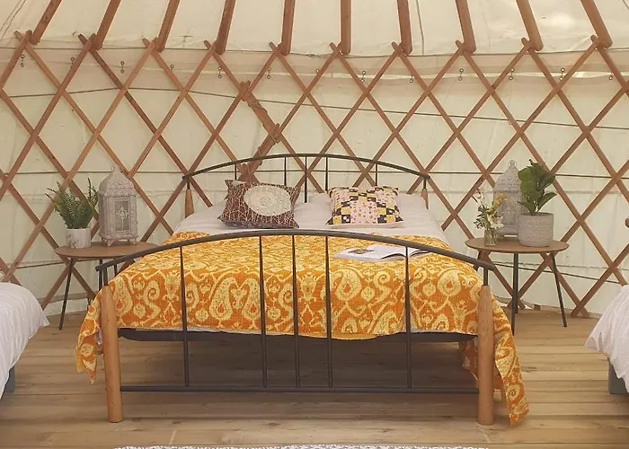 The Lawn Yurt *